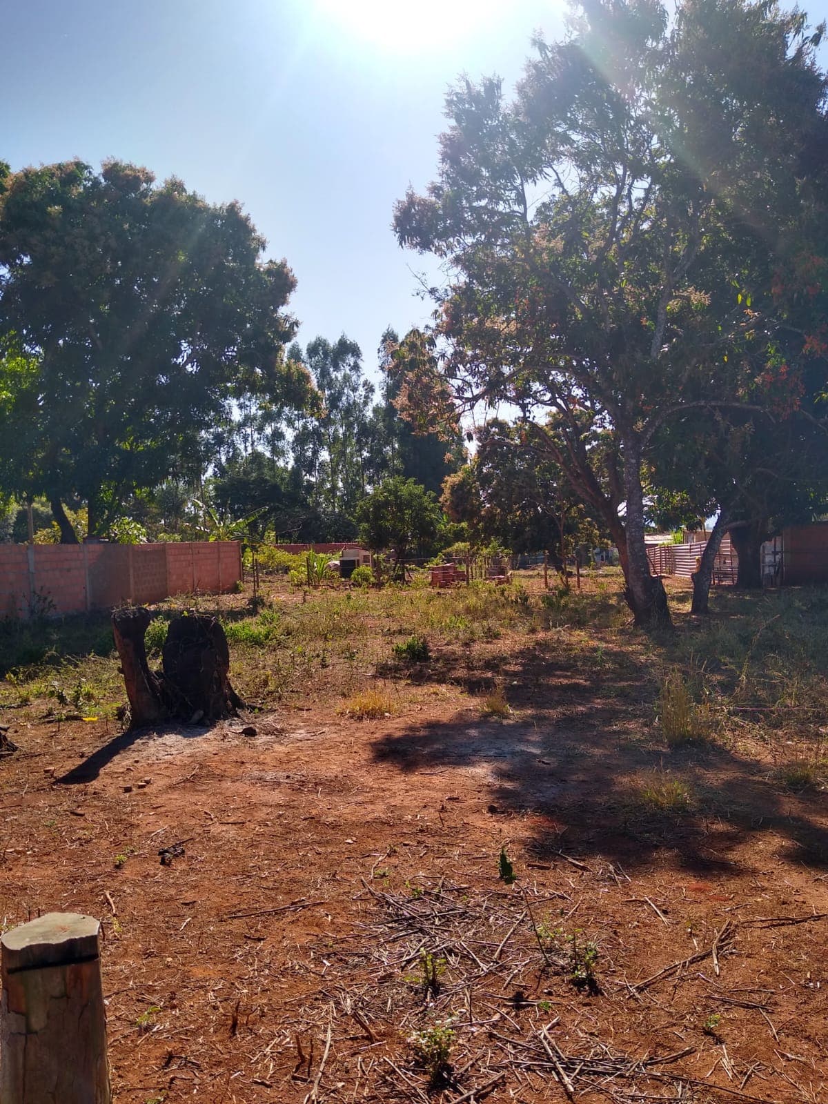 Terreno / Lote / Condomínio em Morada dos Pássaros - Uberlândia